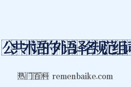 公共术语的外语译名规范组词是什么意思的图片